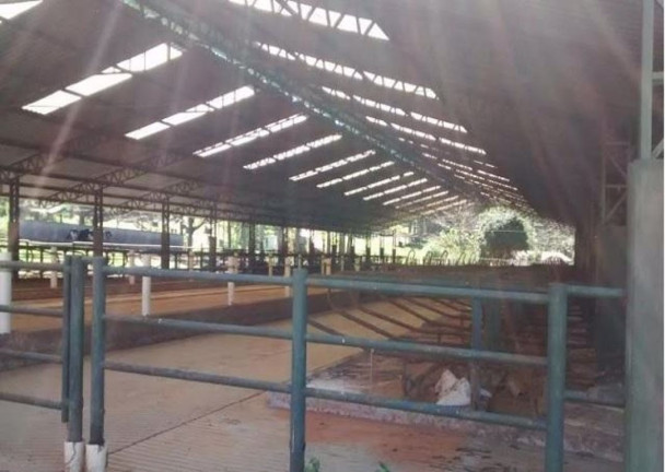 Imagem Fazenda à Venda, 500 m² em Centro - Lagoinha Imagem Fazenda à Venda, 500 m² em Centro - Lagoinha
