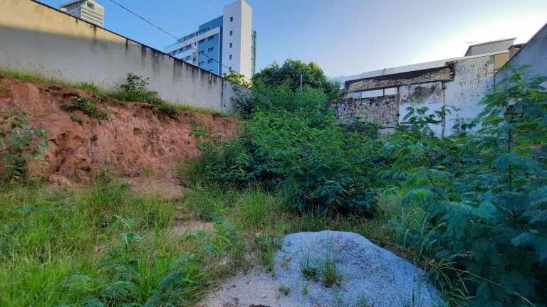 Imagem Terreno à Venda, 378 m² em Gutierrez - Belo Horizonte