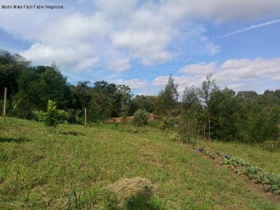 Imagem Terreno à Venda, 4 m² em Pinhal Alto - Nova Petrópolis