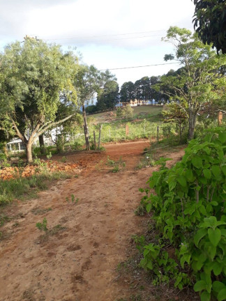 Imagem Chácara com 2 Quartos à Venda, 60 m² em Munhoz - Itapeva Imagem Chácara com 2 Quartos à Venda, 60 m² em Munhoz - Itapeva