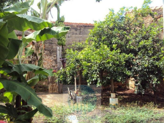 Imagem Casa com 3 Quartos à Venda, 402 m² em Campos Elíseos - Ribeirão Preto