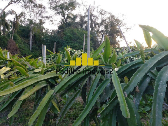 Imagem Chácara à Venda, 2 m² em São Miguel Arcanjo Imagem Chácara à Venda, 2 m² em São Miguel Arcanjo
