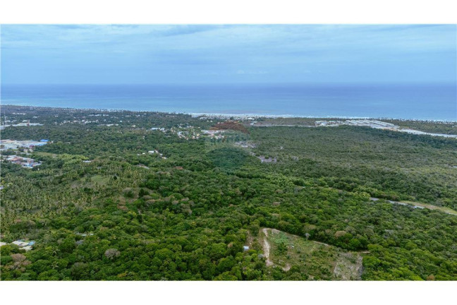 Terreno à Venda, 10.000 m² em Imbassai - Mata De São João
