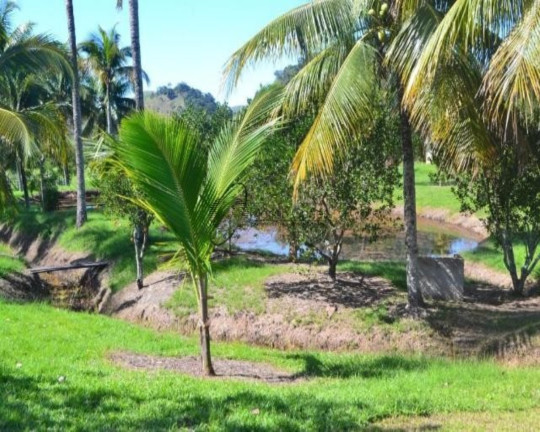 Imagem Imóvel à Venda,  em . - Tanguá