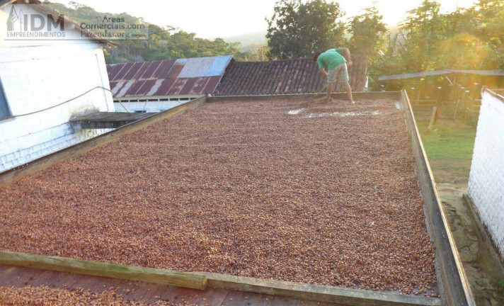 Imagem Chácara à Venda, 2.780.000 m² em Rural - Camamu Imagem Chácara à Venda, 2.780.000 m² em Rural - Camamu