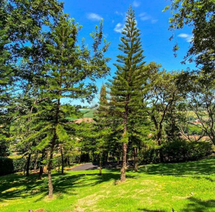 Imagem Terreno à Venda, 1.000 m² em Bonfim Paulista - Ribeirão Preto Imagem Terreno à Venda, 1.000 m² em Bonfim Paulista - Ribeirão Preto