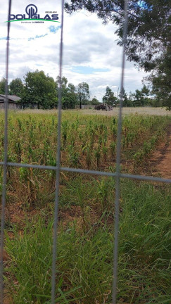 Imagem Terreno à Venda, 2.625 m² em Viamão