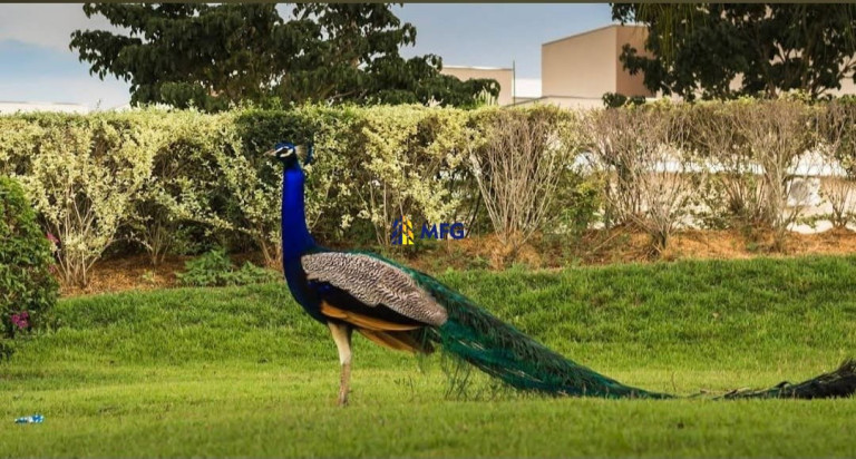Imagem Casa de Condomínio com 3 Quartos à Venda, 244 m² em Condomínio Residencial Ibiti Royal Park - Sorocaba Imagem Casa de Condomínio com 3 Quartos à Venda, 244 m² em Condomínio Residencial Ibiti Royal Park - Sorocaba