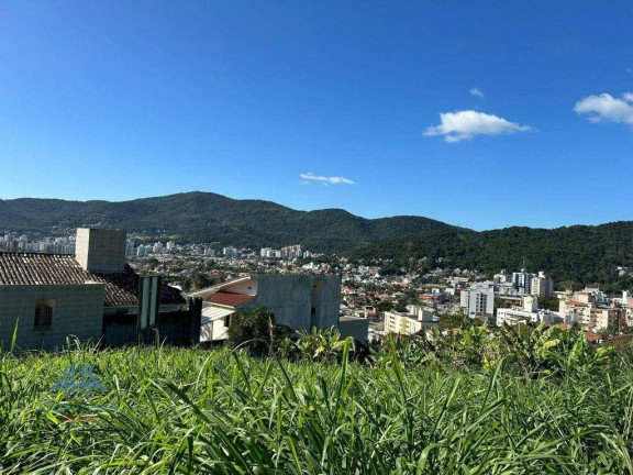 Terreno à Venda, 3.800 m² em Córrego Grande - Florianópolis