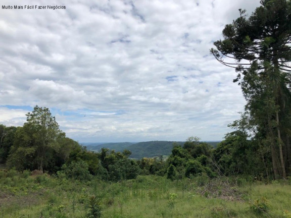 Terreno à Venda, 5 m² em Nove Colônias - Nova Petrópolis