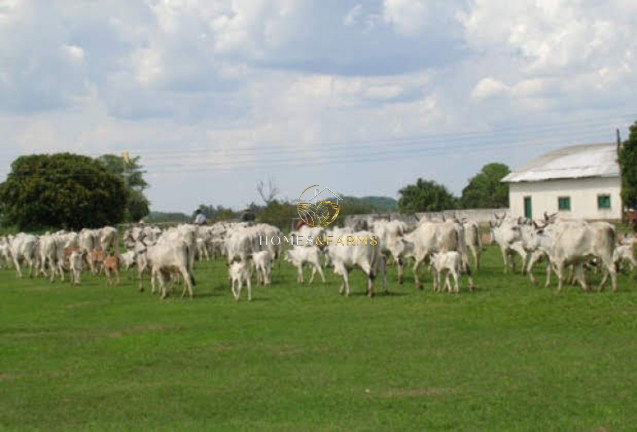 Imagem Imóvel com 3 Quartos à Venda, 87.851 m² em Centro - Miranda Imagem Imóvel com 3 Quartos à Venda, 87.851 m² em Centro - Miranda