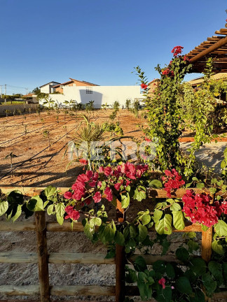 Terreno à Venda, 500 m² em Estrada Da Tapera - Petrolina