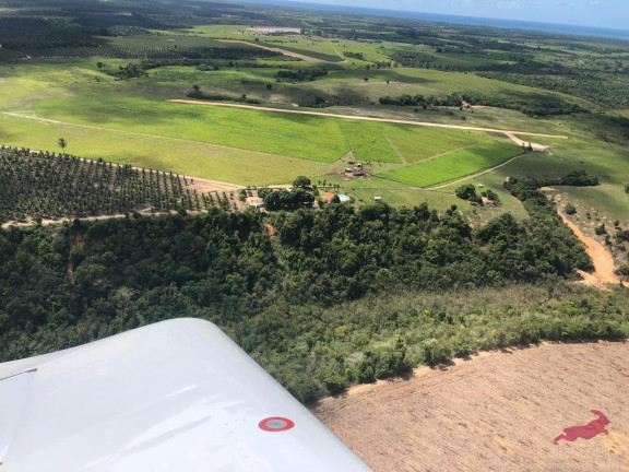 Imagem Fazenda à Venda, 600 m² em Caraíva - Porto Seguro Imagem Fazenda à Venda, 600 m² em Caraíva - Porto Seguro