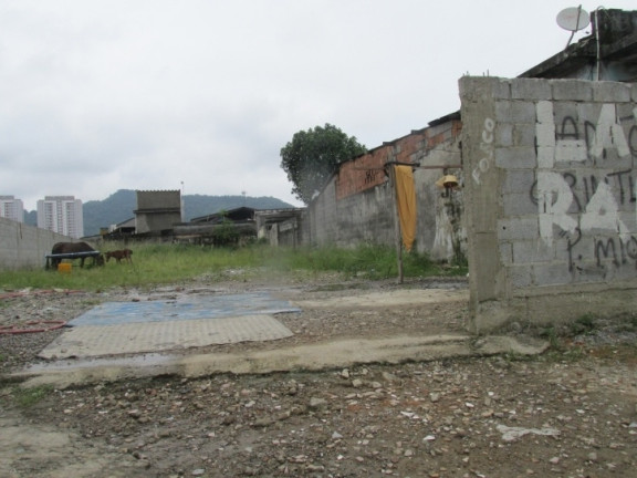 Imagem Terreno à Venda, 650 m² em Jardim Guassú - Santos Imagem Terreno à Venda, 650 m² em Jardim Guassú - Santos