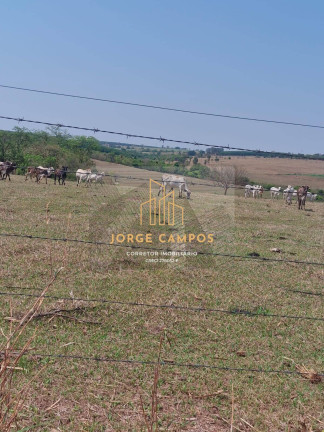 Imagem Fazenda à Venda, 70 m² em área Rural 2 - Monte Aprazível Imagem Fazenda à Venda, 70 m² em área Rural 2 - Monte Aprazível