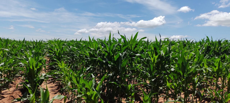 Imóvel à Venda, 135 m² em área Rural De Marília - Marília