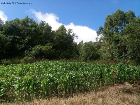 Terreno à Venda, 450 m² em Germânia - Nova Petrópolis
