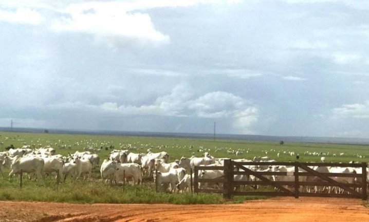 Imagem Fazenda à Venda, 3.000 m² em Zona Rural - Nova Maringá Imagem Fazenda à Venda, 3.000 m² em Zona Rural - Nova Maringá