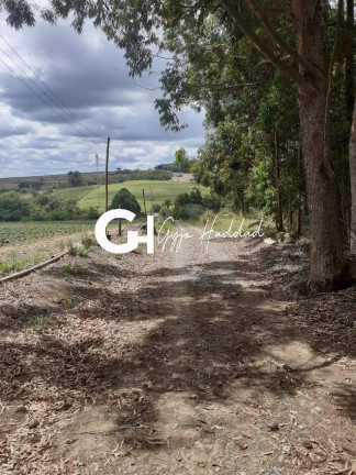Imagem Chácara com 3 Quartos à Venda, 5 m² em Piedade