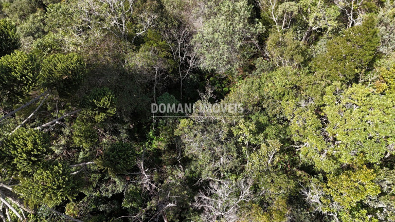 Imagem Terreno à Venda, 2.570 m² em Região De Capivari - Campos Do Jordão Imagem Terreno à Venda, 2.570 m² em Região De Capivari - Campos Do Jordão