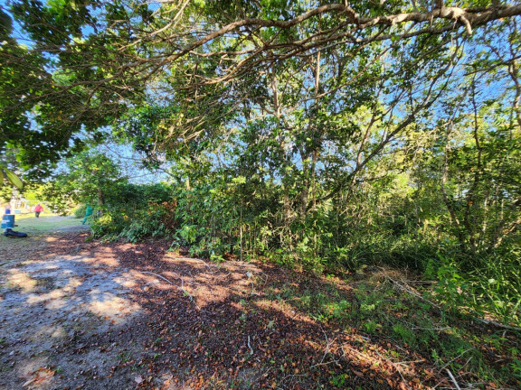 Imagem Terreno à Venda, 816 m² em Ponta Negra - Manaus