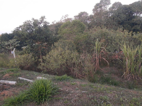 Imagem Chácara com 3 Quartos à Venda, 1.000 m² em Cavalheiros - Piedade Imagem Chácara com 3 Quartos à Venda, 1.000 m² em Cavalheiros - Piedade