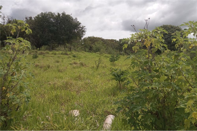 Imagem Terreno à Venda, 2.000 m² em Fazendinha - Salto De Pirapora Imagem Terreno à Venda, 2.000 m² em Fazendinha - Salto De Pirapora