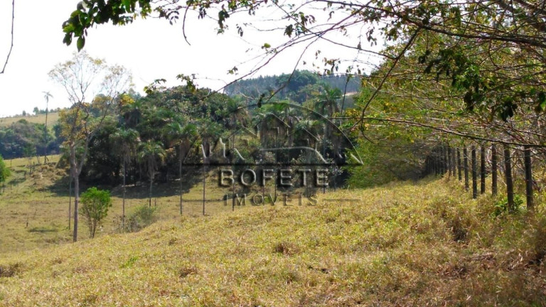 Imagem Imóvel com 3 Quartos à Venda, 10.000 m² em Recanto Valência - Bofete