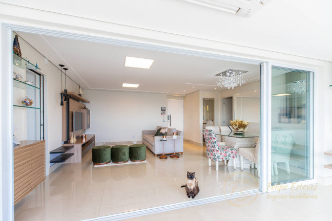 Imagem Apartamento com 3 Quartos à Venda, 146 m² em Vila Mascote - São Paulo