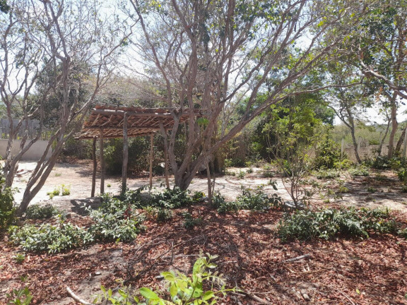 Imagem Terreno à Venda, em Imediações Do Anel Viário De Pipa - Tibau Do Sul Imagem Terreno à Venda, em Imediações Do Anel Viário De Pipa - Tibau Do Sul