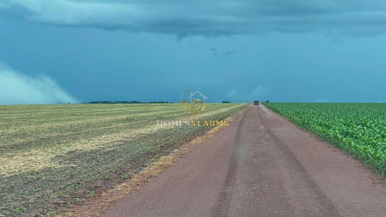 Imagem Imóvel com 3 Quartos à Venda, 7.546 m² em Zona Rural - Nobres Imagem Imóvel com 3 Quartos à Venda, 7.546 m² em Zona Rural - Nobres