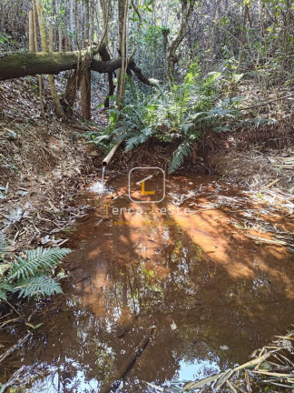 Imagem Terreno à Venda, 20.000 m² em Piedade Do Paraopeba - Brumadinho Imagem Terreno à Venda, 20.000 m² em Piedade Do Paraopeba - Brumadinho