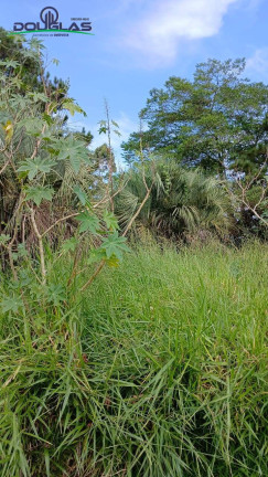 Imagem Terreno à Venda, 550 m² em águas Claras - Viamão Imagem Terreno à Venda, 550 m² em águas Claras - Viamão