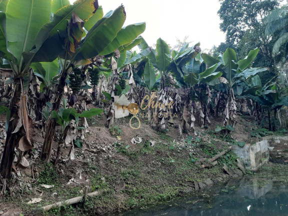 Imagem Chácara com 3 Quartos à Venda, 4.400 m² em Itororó - Embu-guaçu Imagem Chácara com 3 Quartos à Venda, 4.400 m² em Itororó - Embu-guaçu