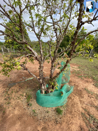 Imagem Imóvel com 3 Quartos à Venda, 100 m² em Vale Dos Lagos