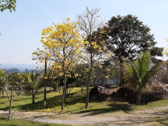 Imagem Chácara com 3 Quartos à Venda, 10.000 m² em Sítio Da Moenda - Itatiba