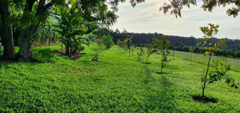 Imagem Imóvel com 2 Quartos à Venda, 40.000 m² em Sousas - Campinas Imagem Imóvel com 2 Quartos à Venda, 40.000 m² em Sousas - Campinas