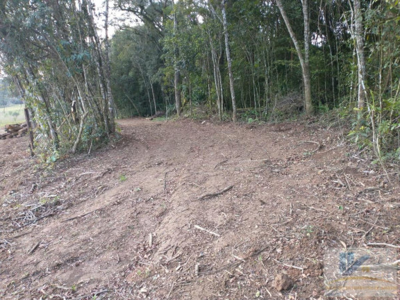 Imagem Terreno à Venda, 43.000 m² em Contenda - São José Dos Pinhais Imagem Terreno à Venda, 43.000 m² em Contenda - São José Dos Pinhais