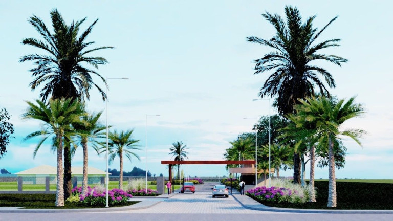 Imagem Terreno à Venda, 2.500 m² em Park Way - Brasília Imagem Terreno à Venda, 2.500 m² em Park Way - Brasília