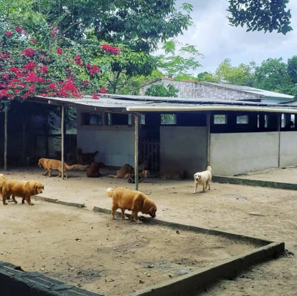Imagem Chácara com 3 Quartos à Venda, 1 m² em Aldeia Dos Camarás - Camaragibe
