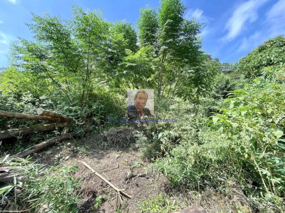 Imagem Terreno à Venda, 907 m² em Vila Santo Antônio - Cotia Imagem Terreno à Venda, 907 m² em Vila Santo Antônio - Cotia