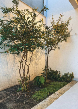 Imagem Casa com 2 Quartos à Venda, 163 m² em Sim - Feira De Santana Imagem Casa com 2 Quartos à Venda, 163 m² em Sim - Feira De Santana
