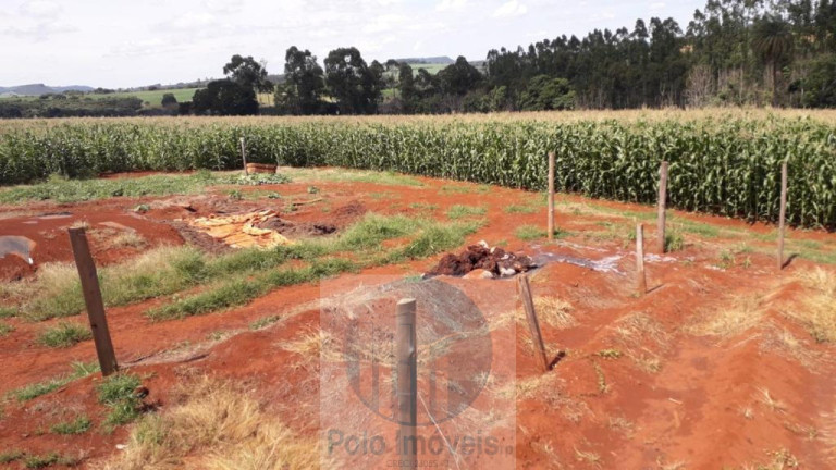 Imagem Imóvel com 3 Quartos à Venda, 11 m² em Rural - São Sebastião Do Paraíso Imagem Imóvel com 3 Quartos à Venda, 11 m² em Rural - São Sebastião Do Paraíso