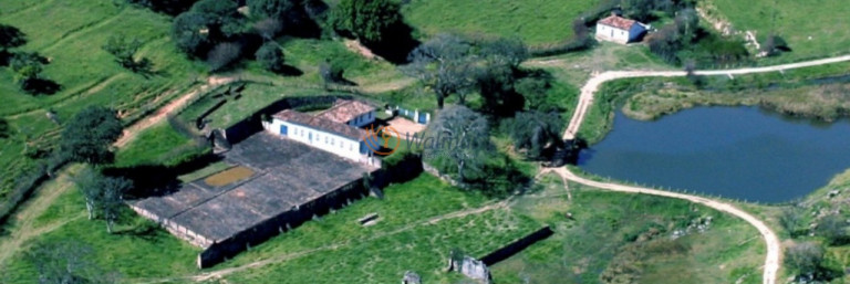 Imagem Imóvel com 16 Quartos à Venda, 550 m² em Zona Rural - Pedreira Imagem Imóvel com 16 Quartos à Venda, 550 m² em Zona Rural - Pedreira