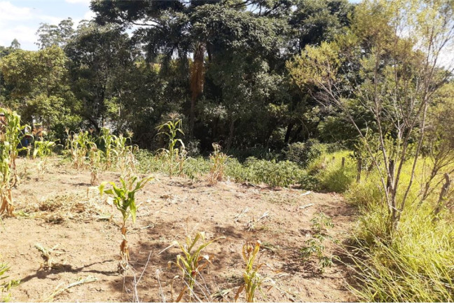 Imagem Terreno à Venda, 1.300 m² em Portal De Pirapora - Salto De Pirapora Imagem Terreno à Venda, 1.300 m² em Portal De Pirapora - Salto De Pirapora