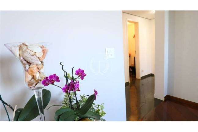 Imagem Apartamento com 5 Quartos à Venda, 170 m² em Vila Suzana - São Paulo