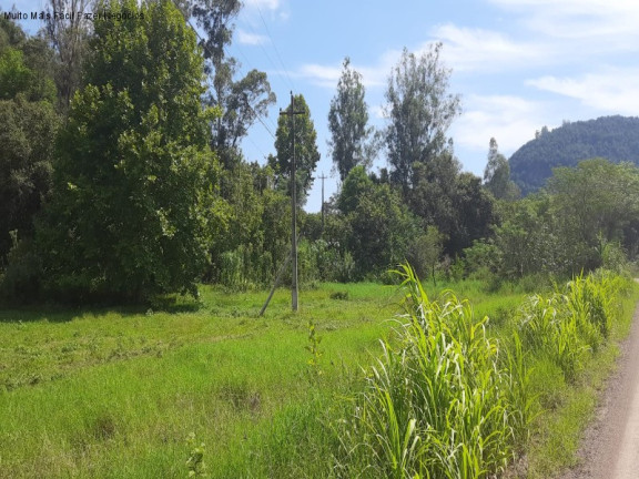 Imagem Terreno à Venda, 110 m² em Fazenda Pirajá - Nova Petrópolis
