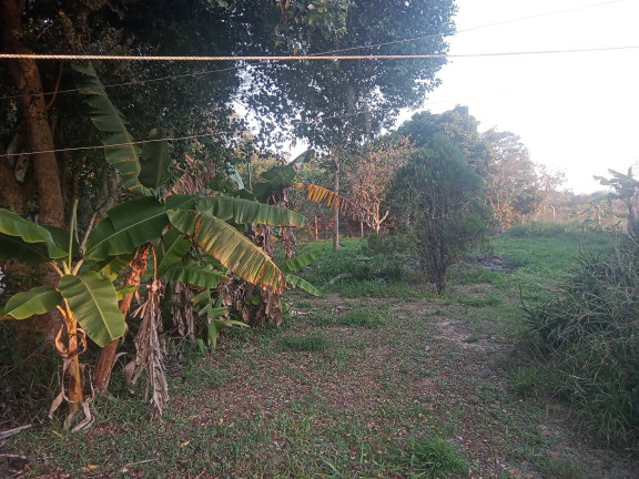 Imagem Casa com 3 Quartos à Venda, 2.400 m² em águas Claras - Viamão
