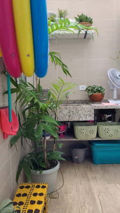 Imagem Apartamento com 2 Quartos à Venda, 65 m² em Vila Alzira - Santo André