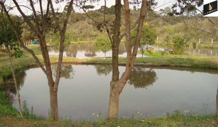 Imagem Imóvel com 3 Quartos à Venda, 17.000 m² em área Rural De Fazenda Rio Grande - Fazenda Rio Grande Imagem Imóvel com 3 Quartos à Venda, 17.000 m² em área Rural De Fazenda Rio Grande - Fazenda Rio Grande